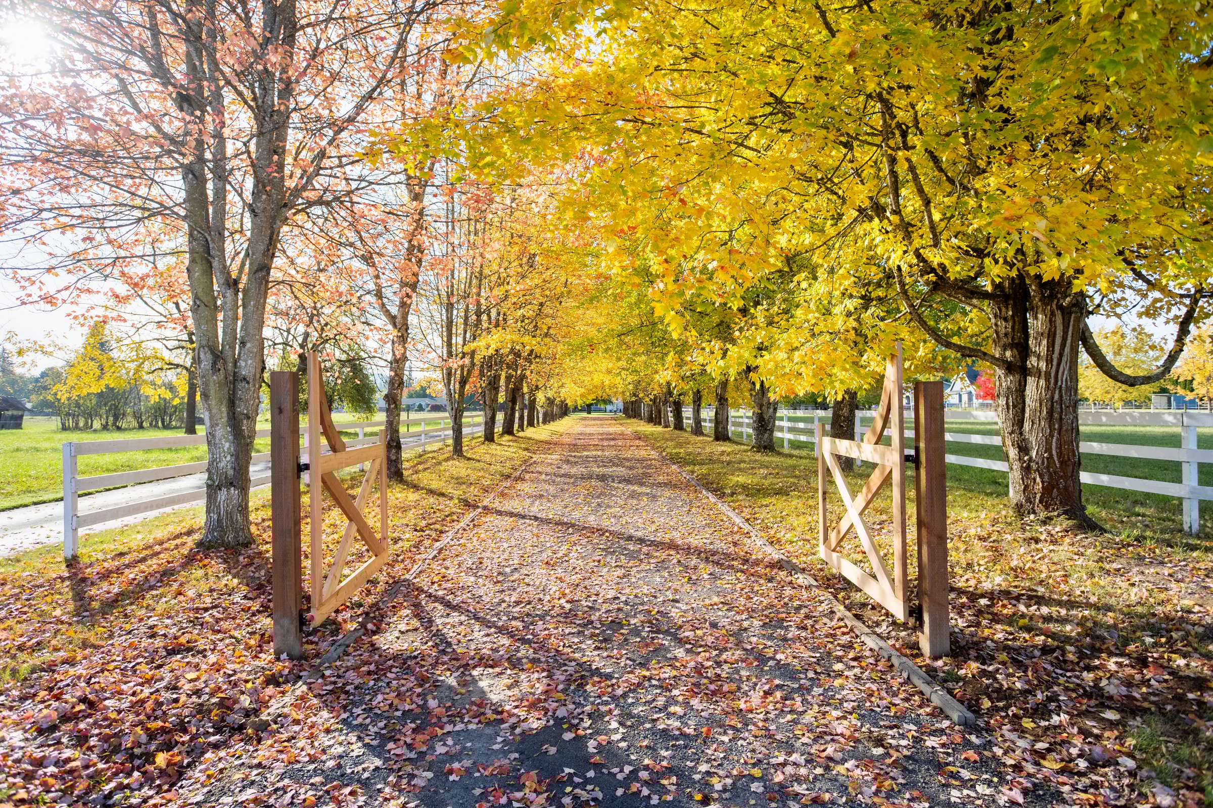 Modern furnished living space