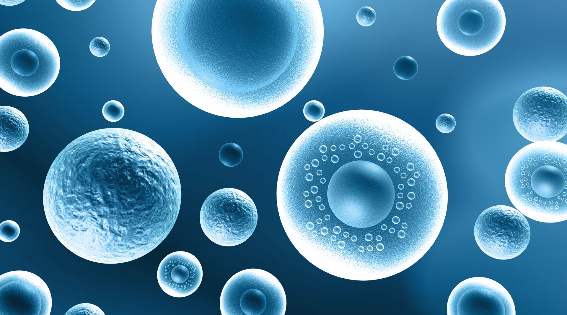 Human cells, embryonic stem cell, Stem cell research. 3d illustration