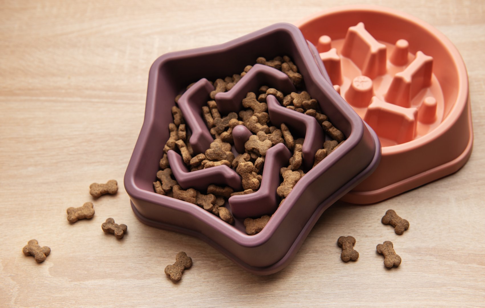 Star shaped slow feeder bowl filled with kibble on wooden surface