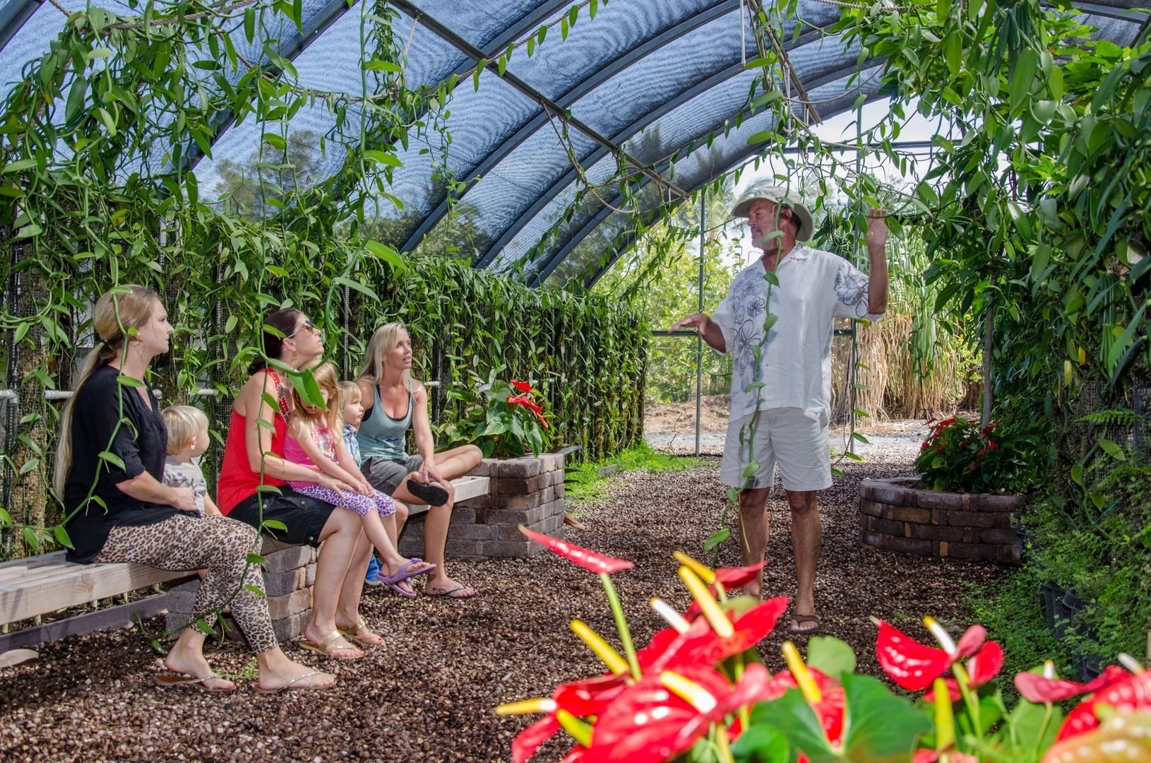 Vanilla orchid farm tour with vanilla beans
