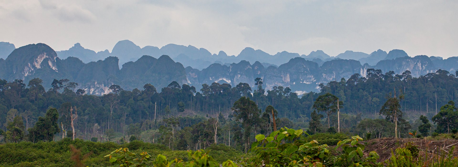 The beautiful scenery of the Sangkulirang Mangkalihat Karst mountain and cliff landscape in the Merabu ecotourism area, Berau and East Kutai districts, East Kalimantan, Indonesia.