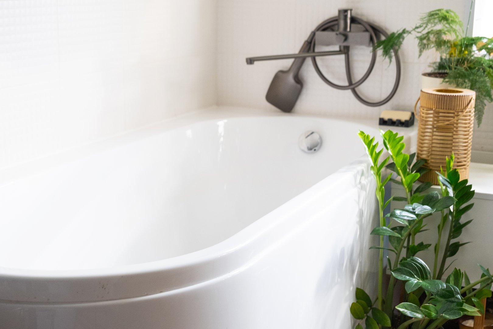 A white bathtub in the bathroom with a black faucet and shower and indoor plants Zamioculcas. Restoring order, cleanliness and hygiene in home, cleaning servise