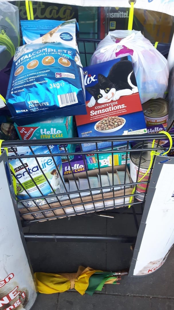 Rettungsgeschichte 6