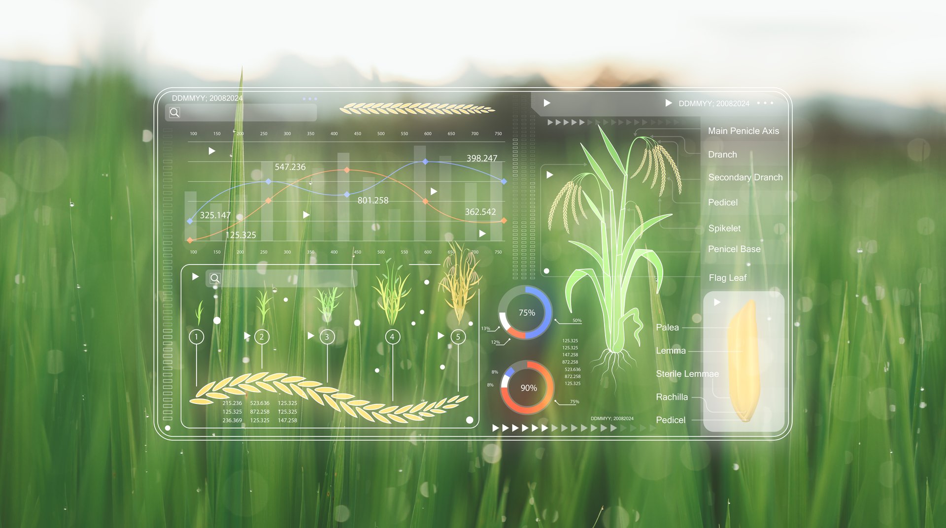 AI for farming and IoT agriculture technology: A farmer woman uses a tablet to research agricultural challenges, analyze data, and explore innovative solutions.