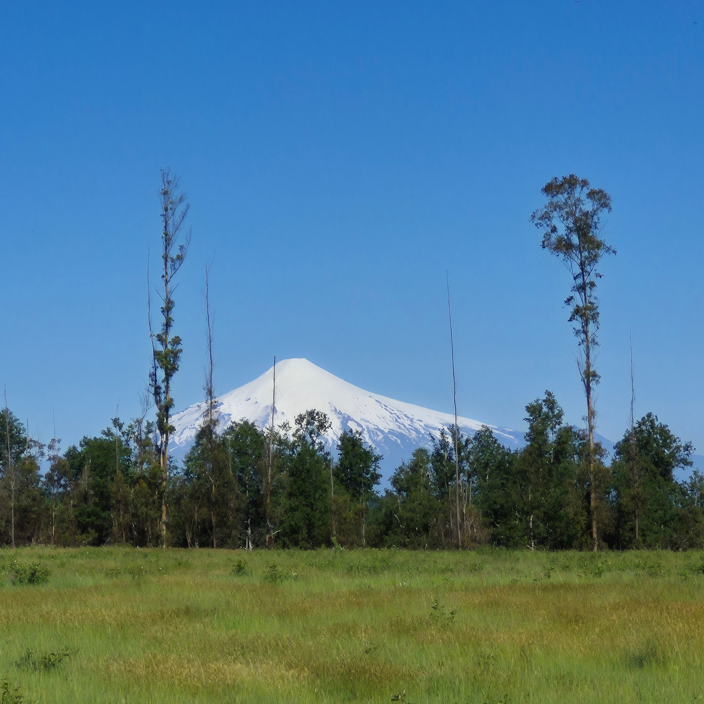 Terreno de parcelas con vegetación y naturaleza