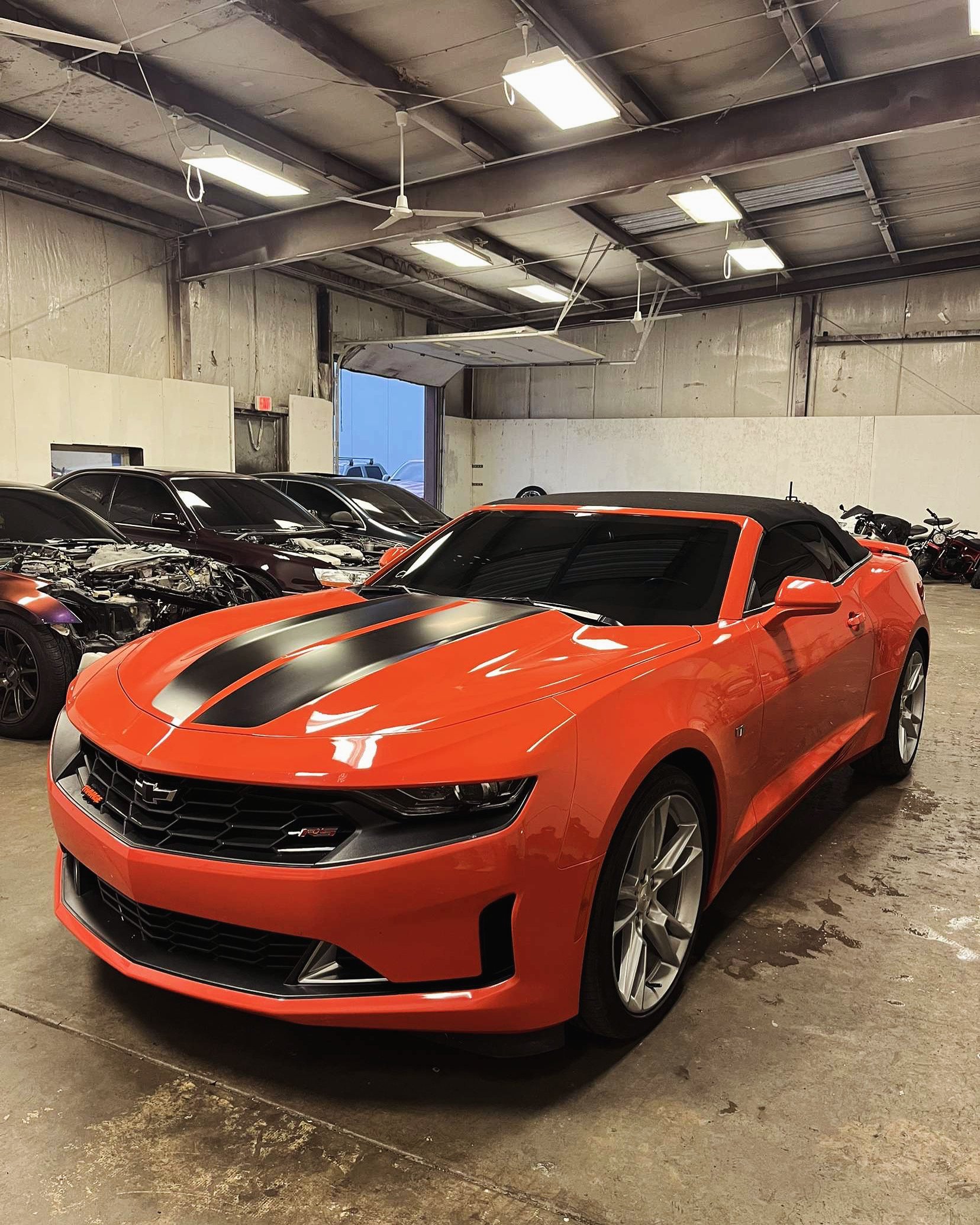 Precision automotive tinting application