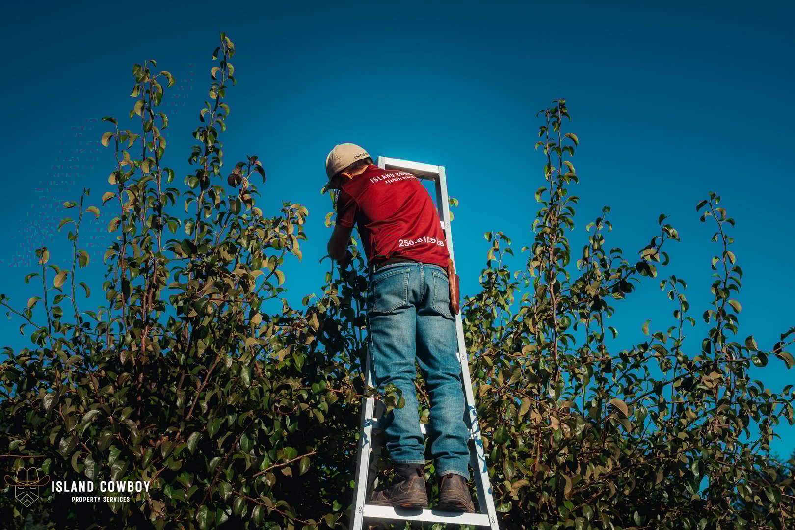 Quality landscaping and maintenance work by Island Cowboy