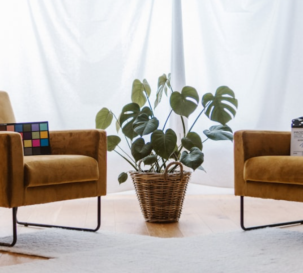 Lab to Life Healing Approach - Biology, Beliefs, Behaviour