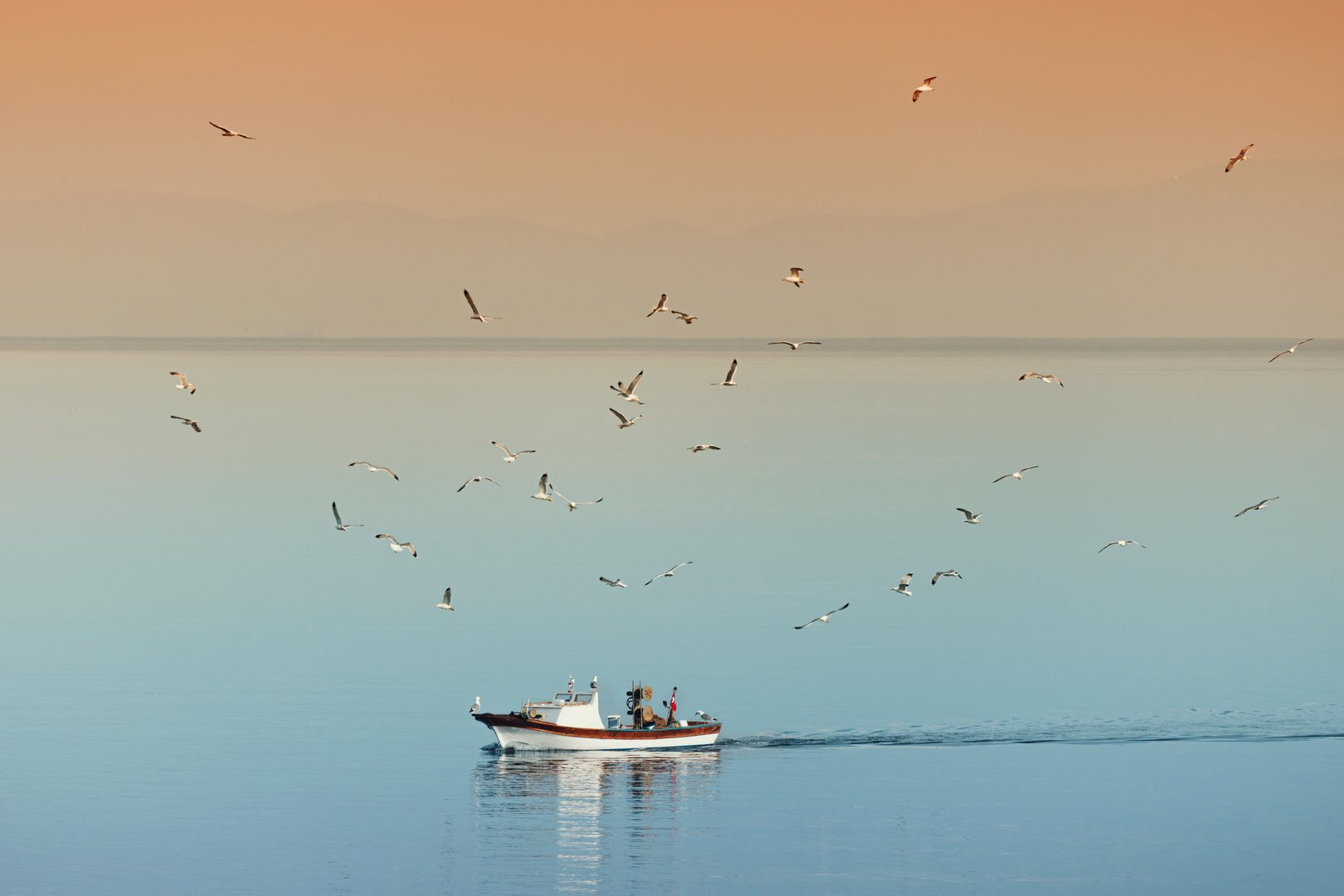Small fishing boat sailing on calm sea followed by seagulls at sunset with orange and blue sky