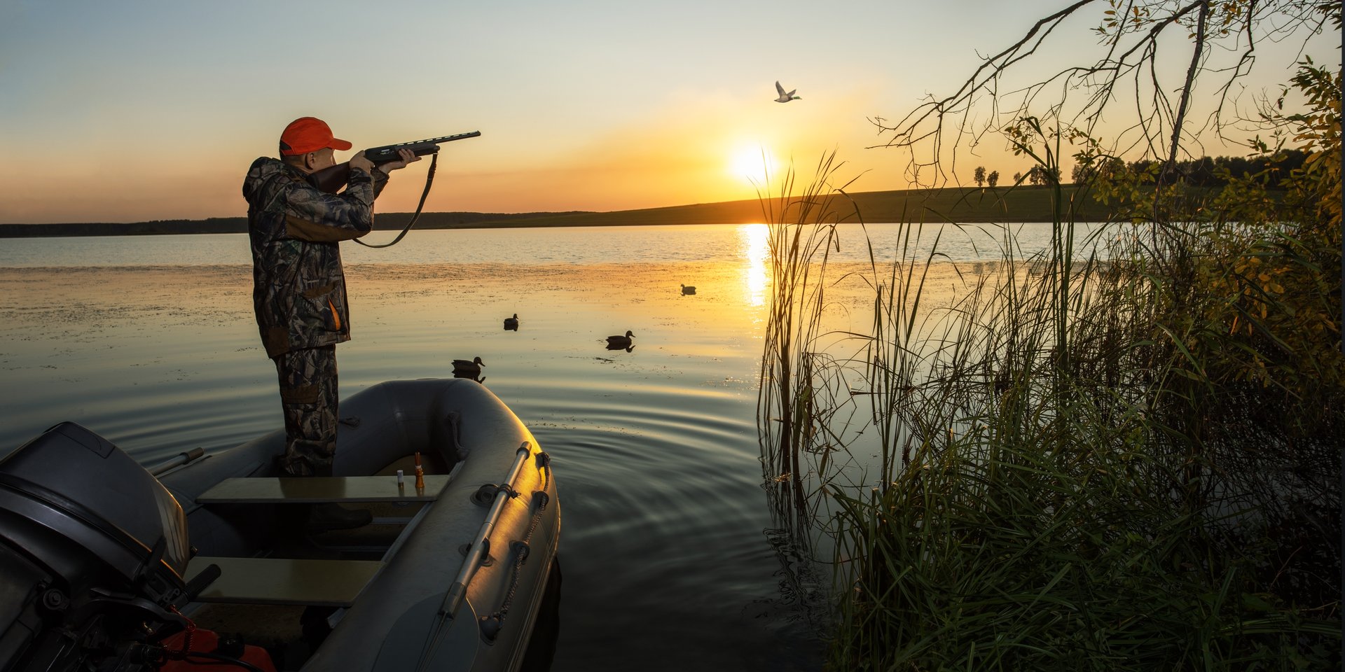 waterfowl hunter shooting into flying duck during duck hunting at sunrise or sunset. bunner with copy space.