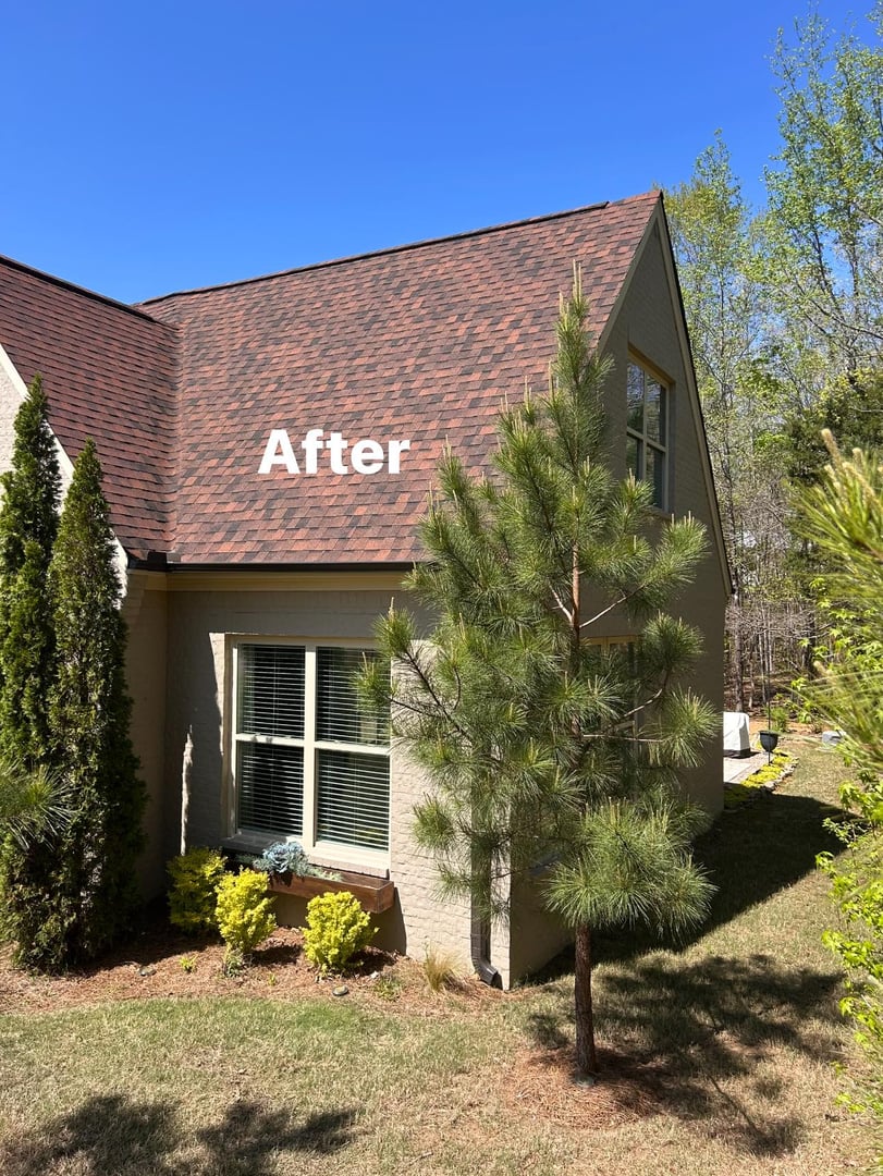 Rebel Remodeling Project After Completion