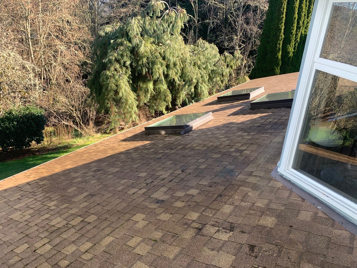 Professional cleaning service by Nicholson's Cleaning