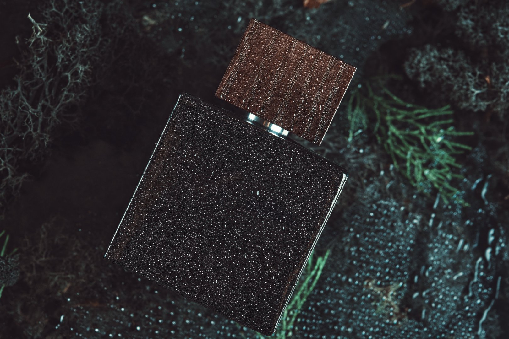 Black glass perfume bottle with a wooden cap, covered in water droplets, against a wet dark background with faint greenery.