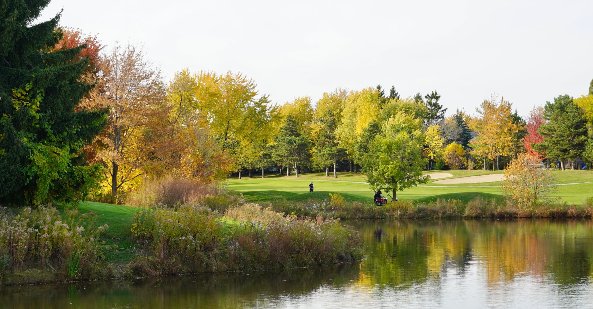 Colourful fall trees on a golf course with a pond