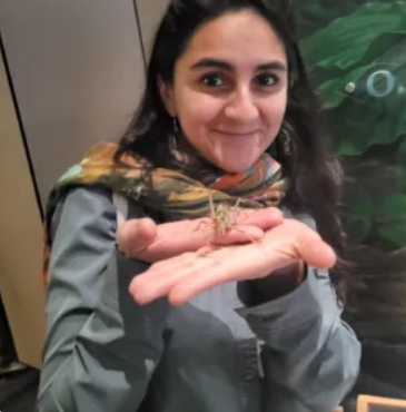 Innovators in motion