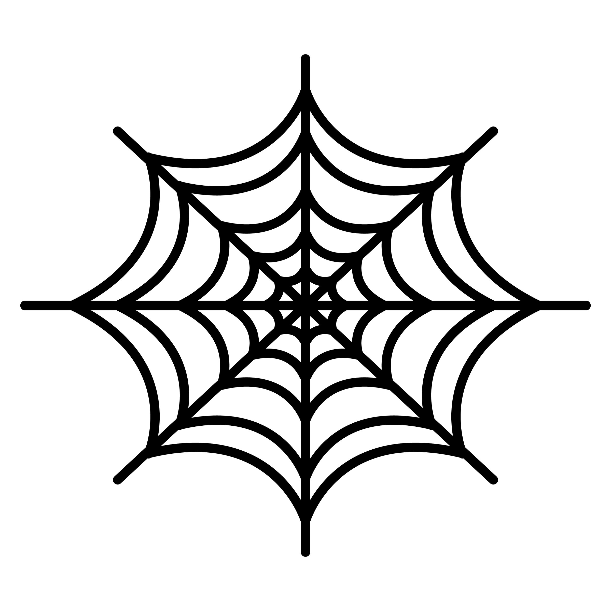 Spider Web