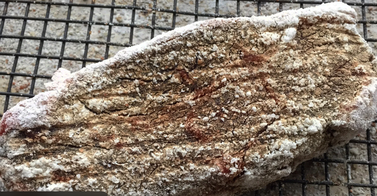 Applying Koji to beef