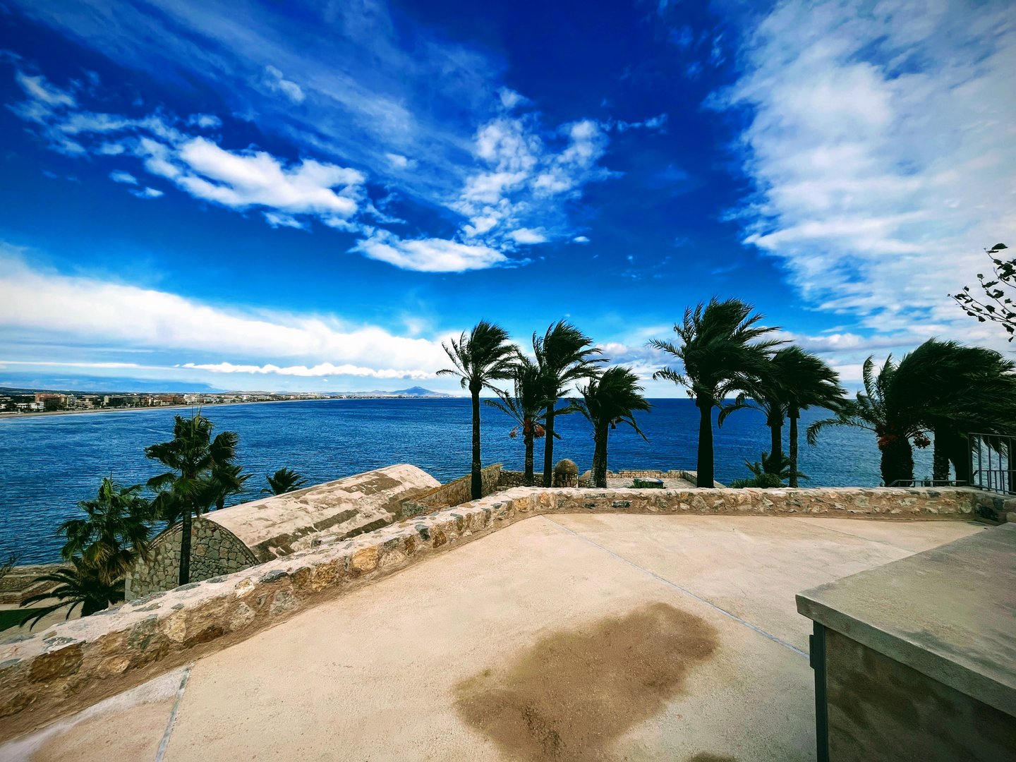 Scenic view of a coastal area with palm trees, blue ocean, and a vibrant sky with scattered clouds.