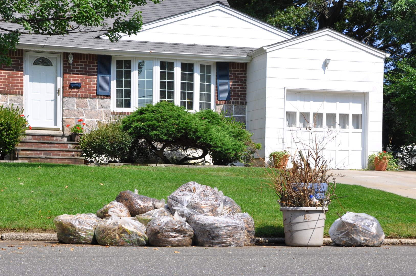 Clear plastic bags filled with leaves trash cans filled with sticks and twigs on street in front of suburban home.