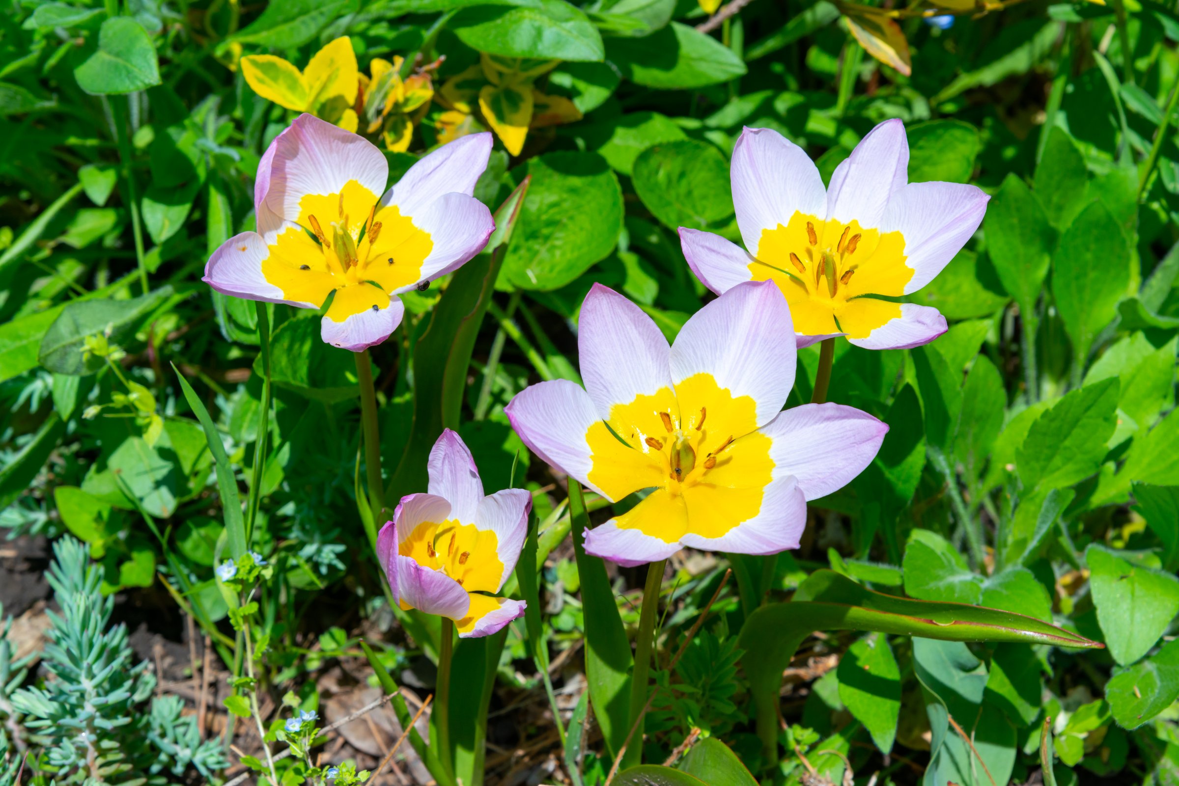 Blog