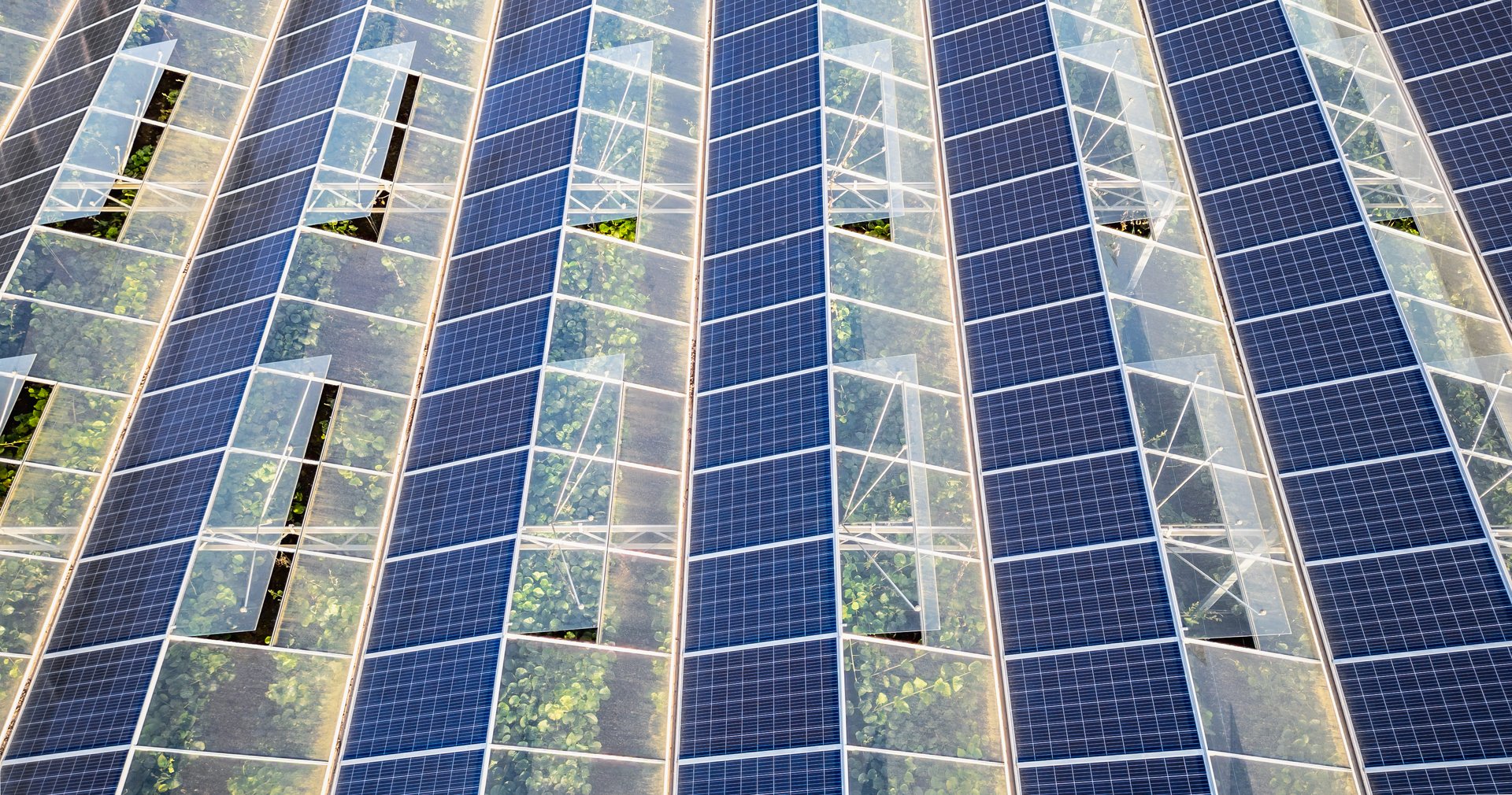Greenhouse for growing vegetables with mounted photovoltaic solar panels on the roof, combining agriculture and solar energy for sustainable and eco-friendly food production.