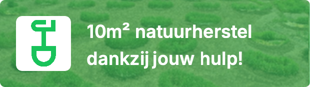 10m2 natuurherstel dankzij jouw hulp!