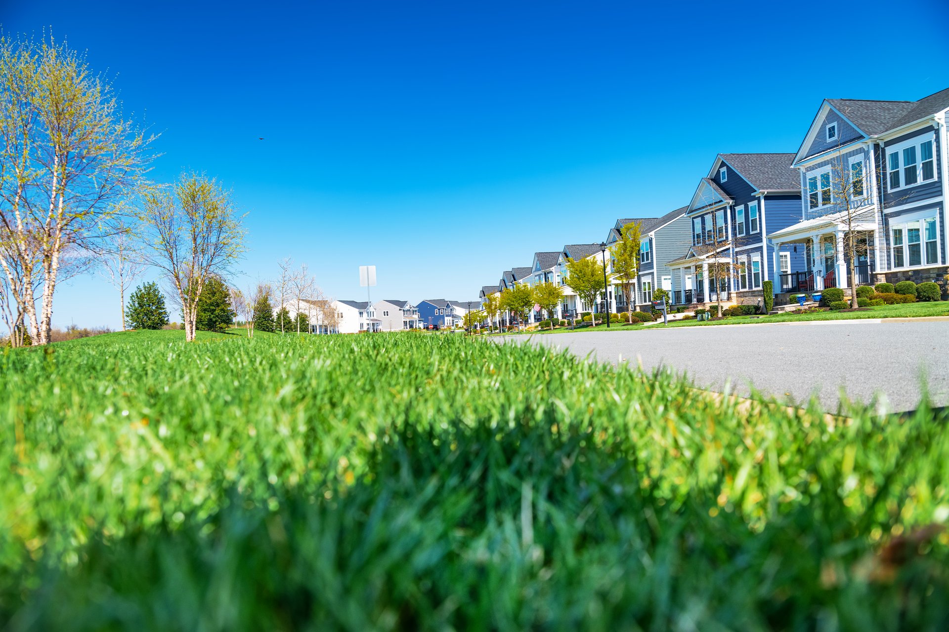 row of modern detached homes. Street view with modern homes under blue skies.