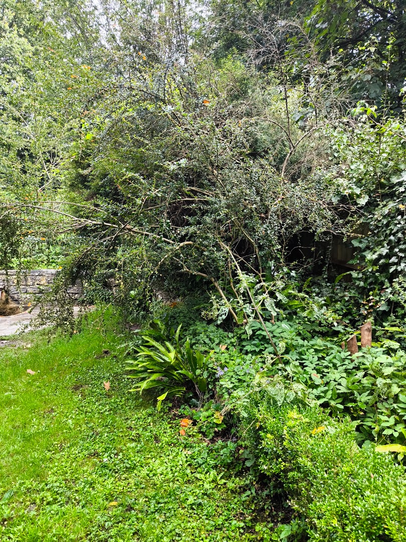 Garden with flowers in Glastonbury in the south of England in a cloudy day