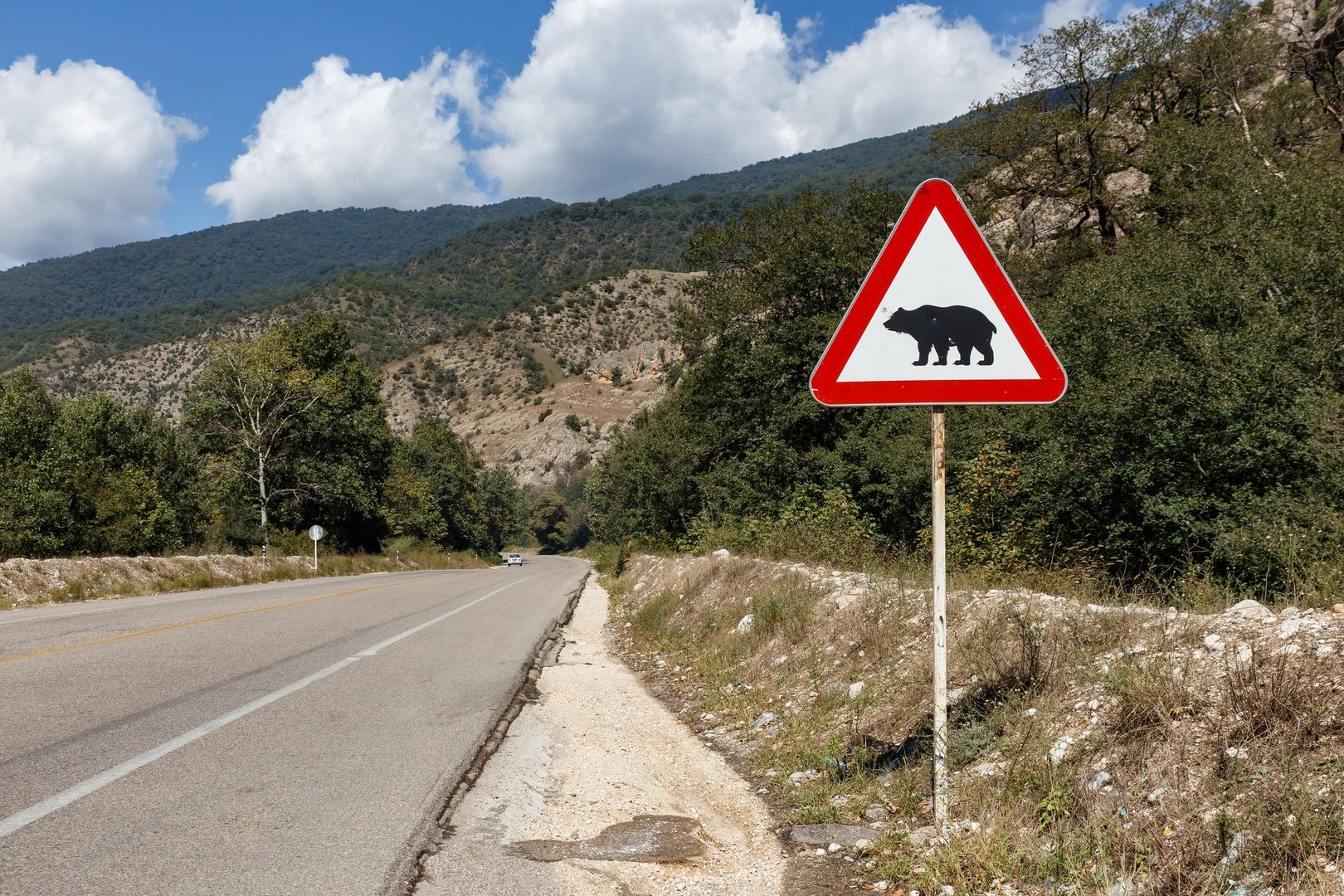 A bear caution sign stands beside the Gorgan Bojnord road in Golestan National Park, warning drivers of wildlife presence amidst scenic mountains.