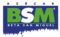 BSM Logo