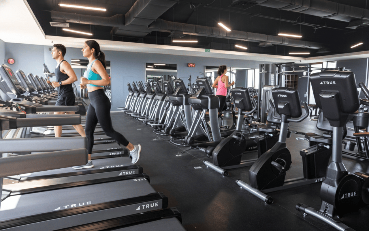 Gimnasio Equipado