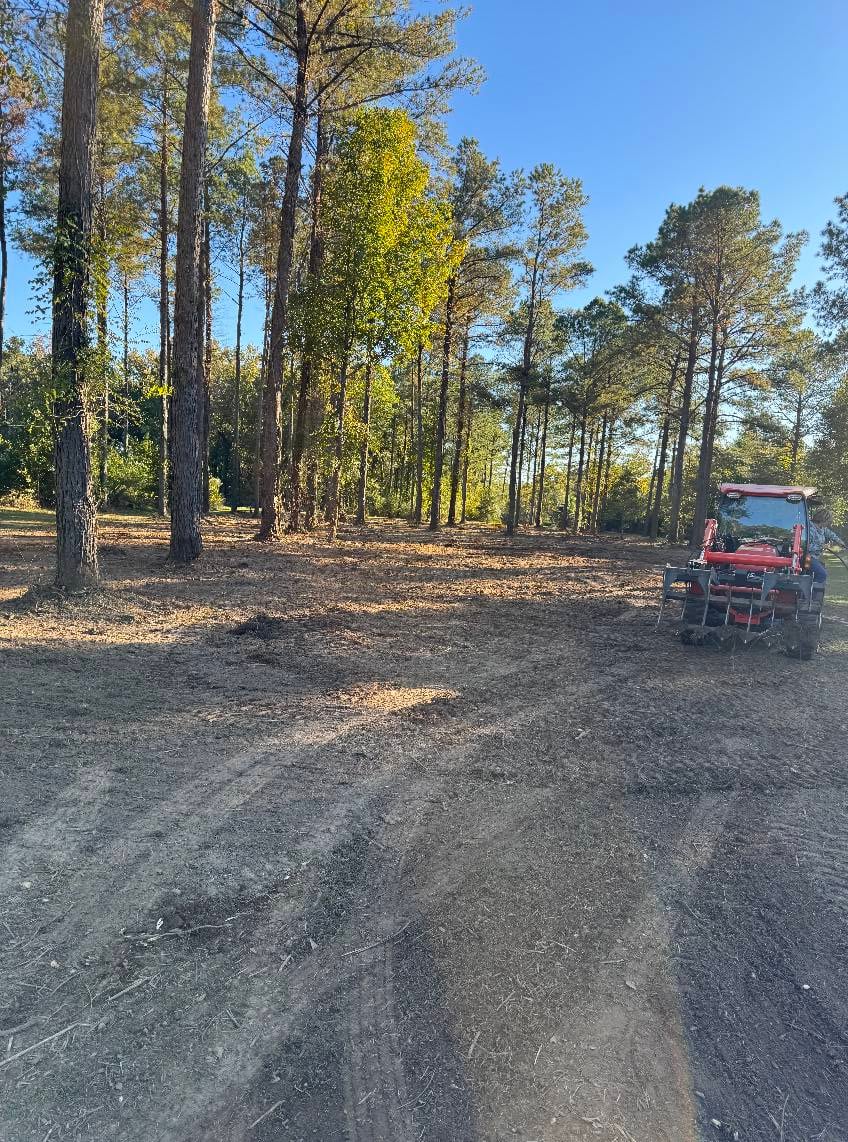 Heavy machinery in forest