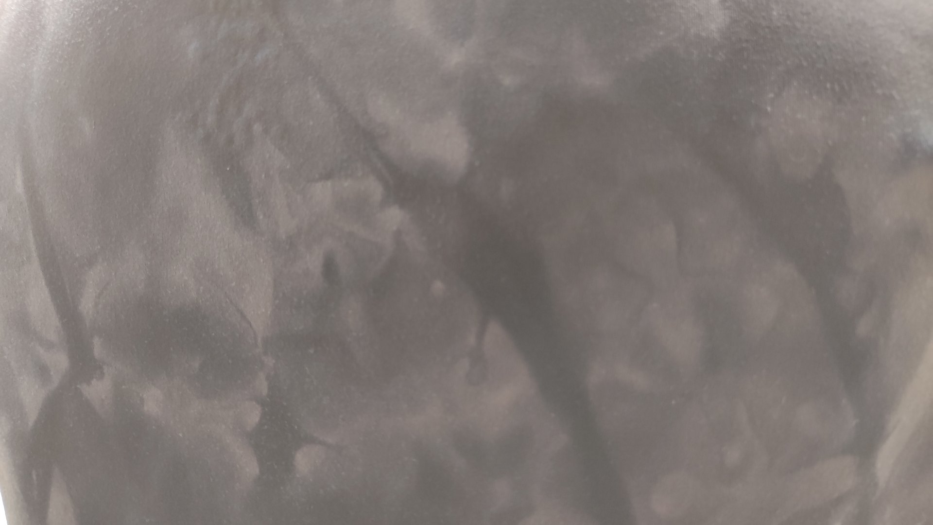 Gray color background