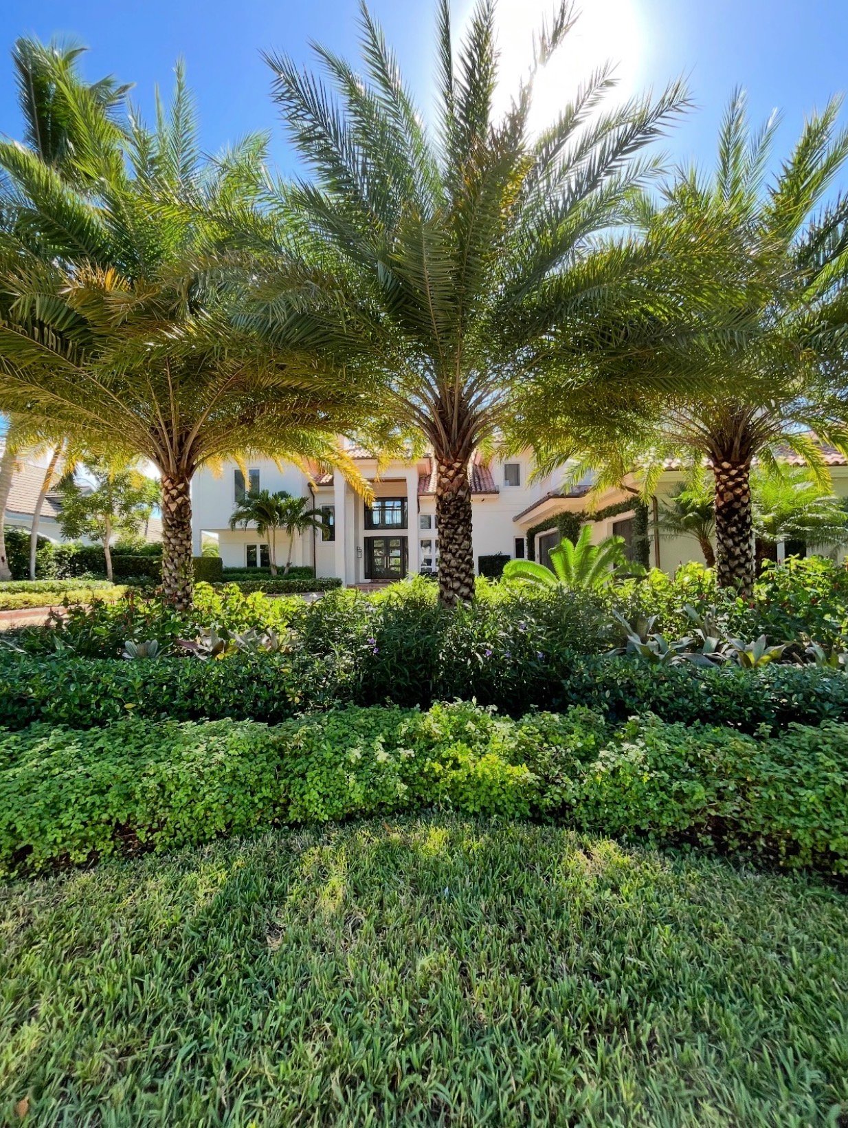 Tree planting service