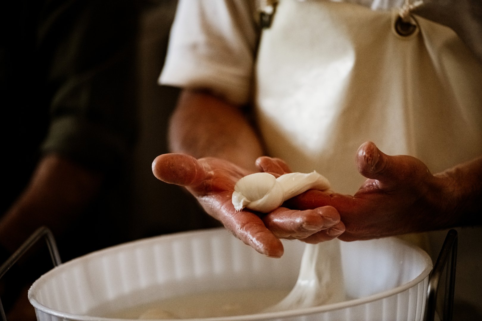 Hands of a cheesemonger in a white apron making fresh mozzarella nodini on a dairy farm in Southern Italy.