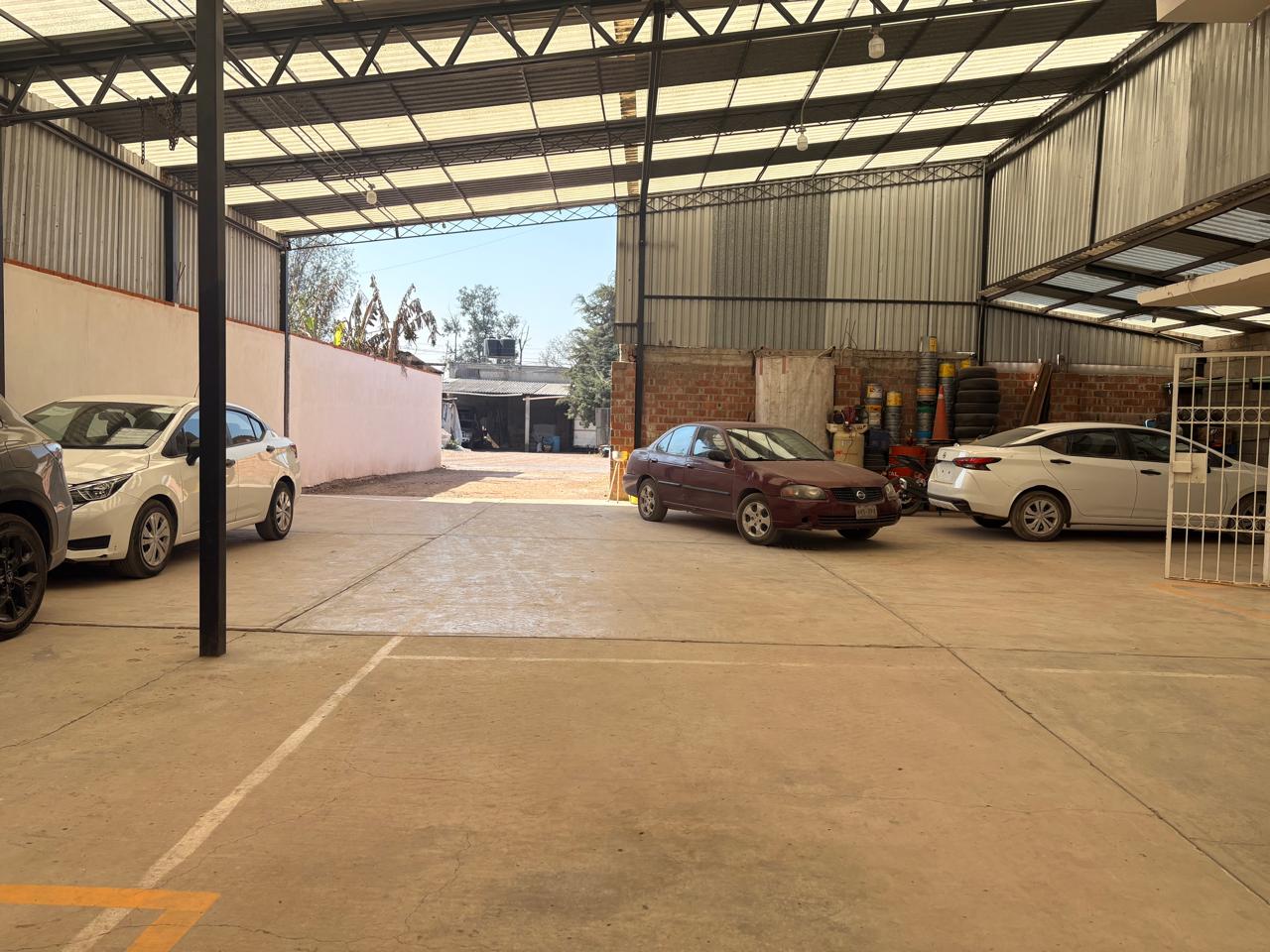 WhatsApp Image 2026-03-04 at 10.38.58