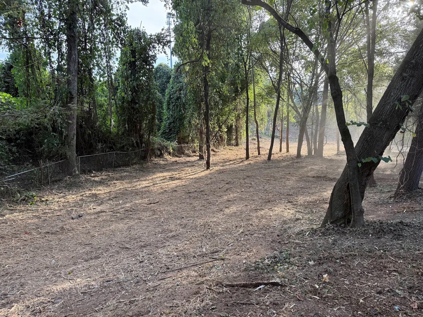 Land clearing project