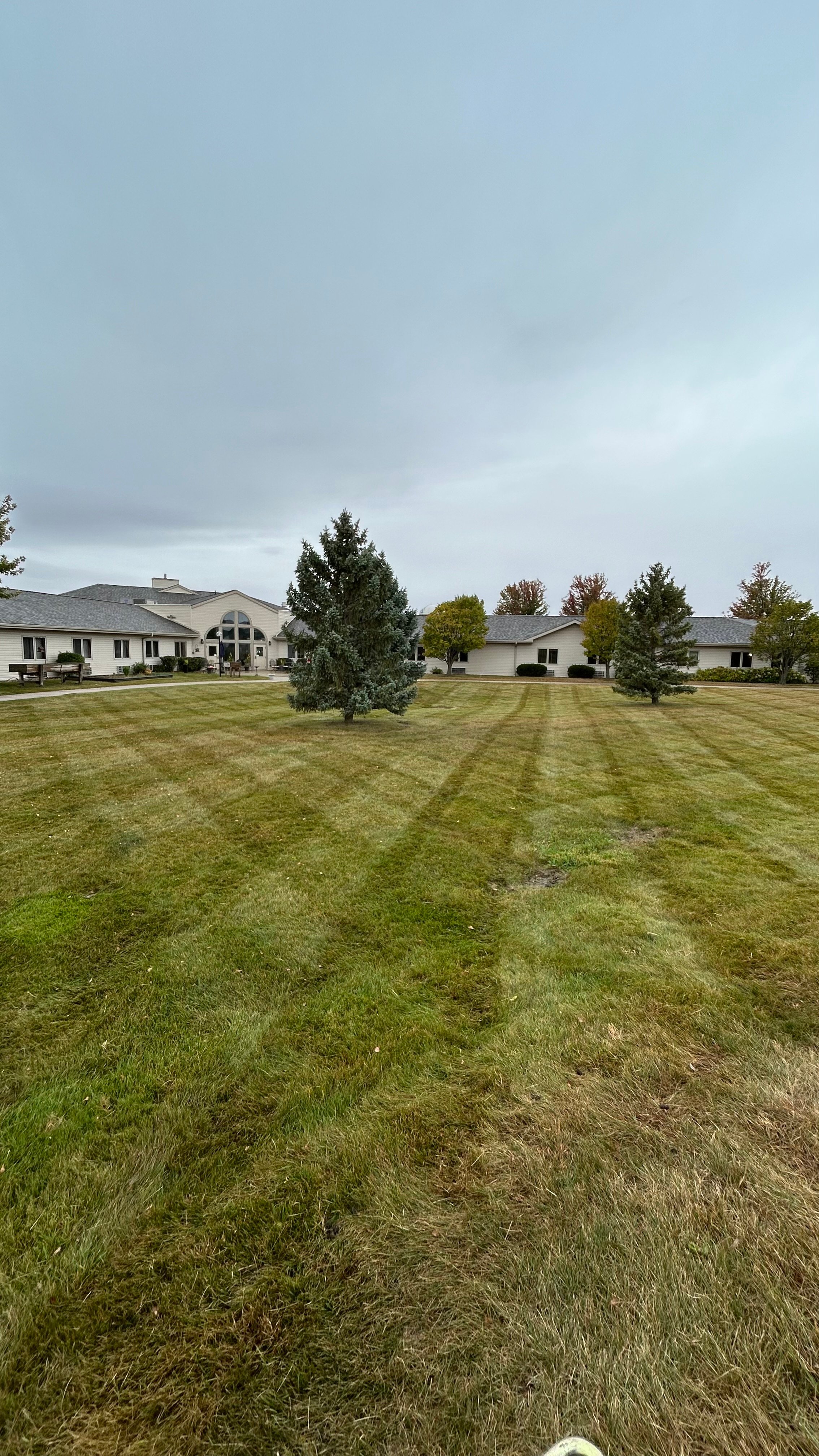 Professional service