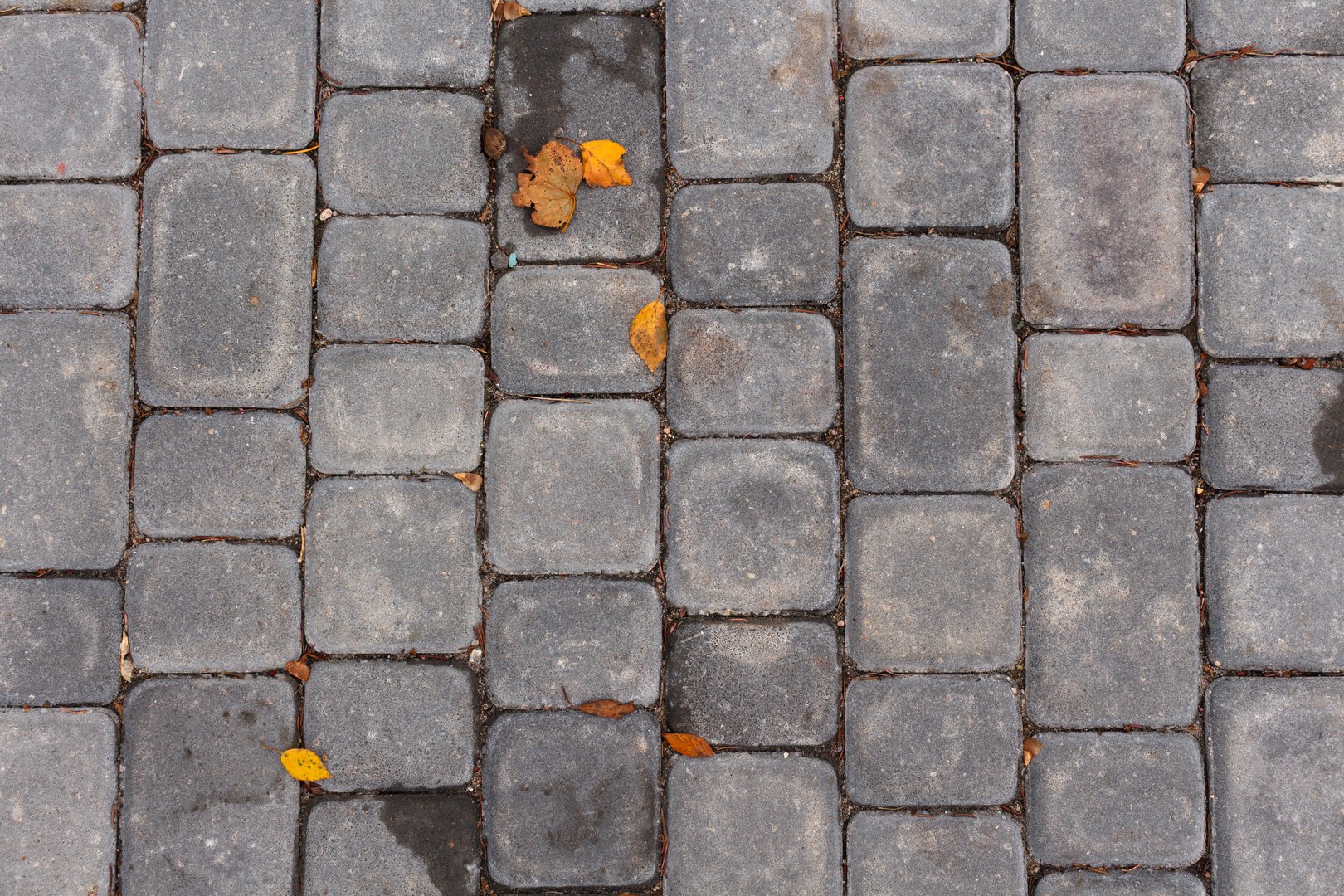 Top view of gray paving. High quality photo