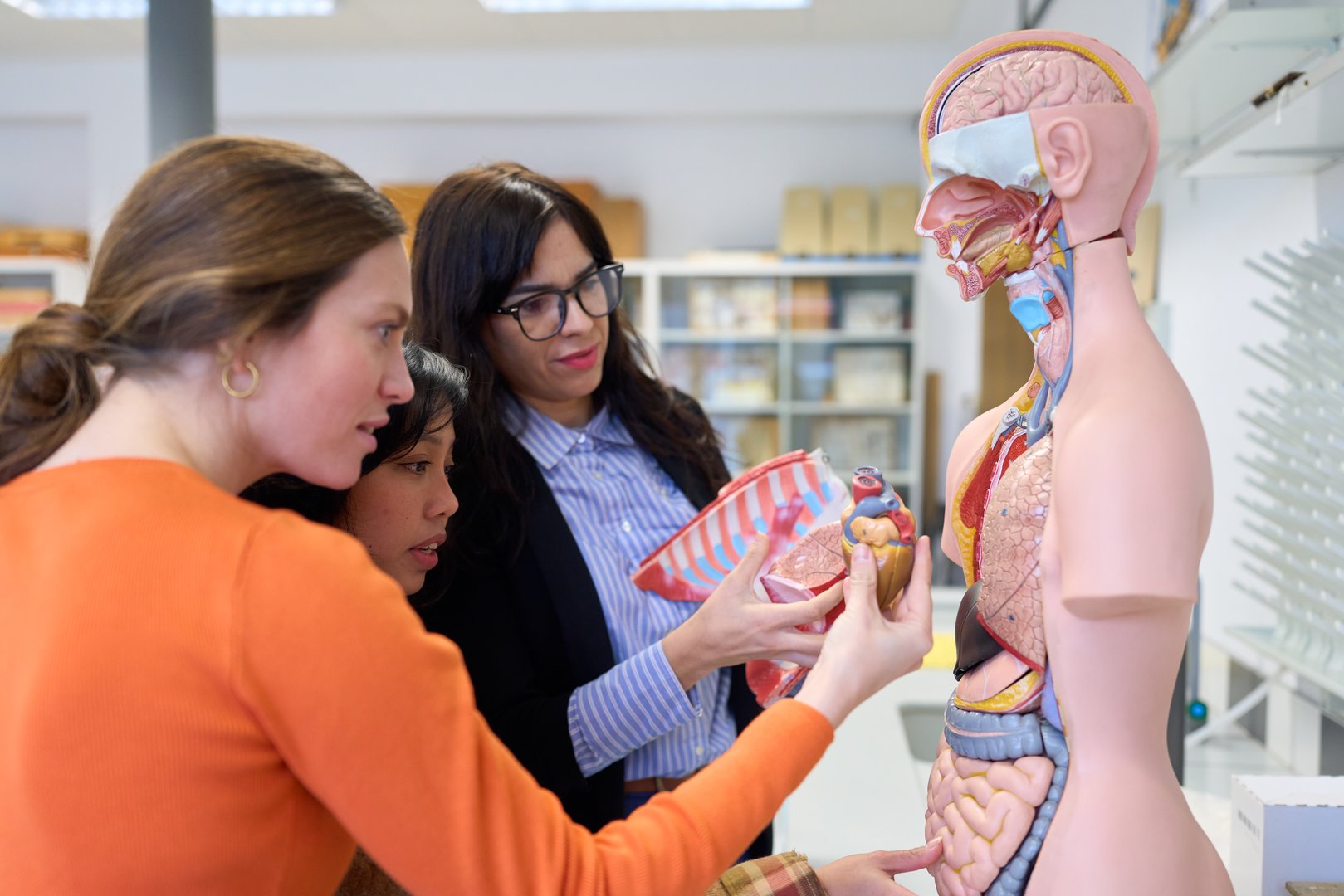 Group of high school students learning about the human body using an anatomical model in a biology class