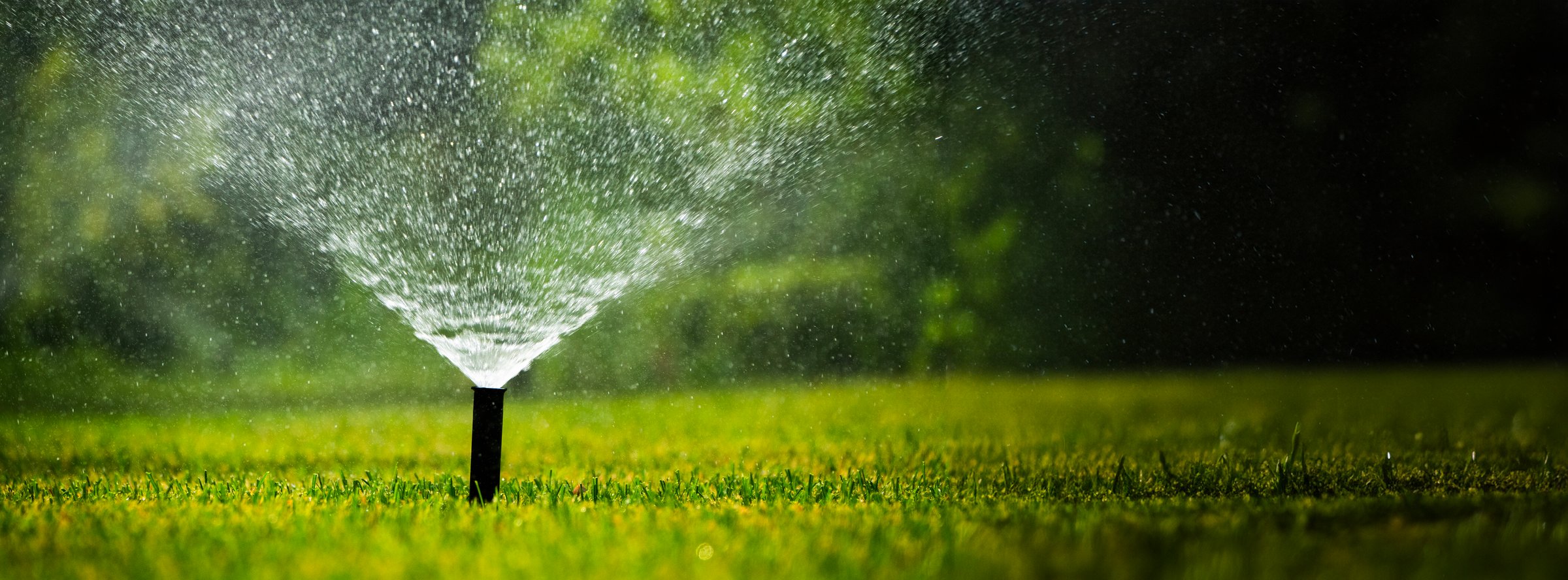 A sprinkler system in operation, dispersing water evenly across a well-maintained green lawn. The water droplets create a fine mist, glistening in the sunlight. The scene captures the essence of efficient lawn irrigation, emphasizing the importance of regular watering for healthy grass growth. The vibrant green of the grass contrasts with the sparkling water, creating a refreshing and lively atmosphere.