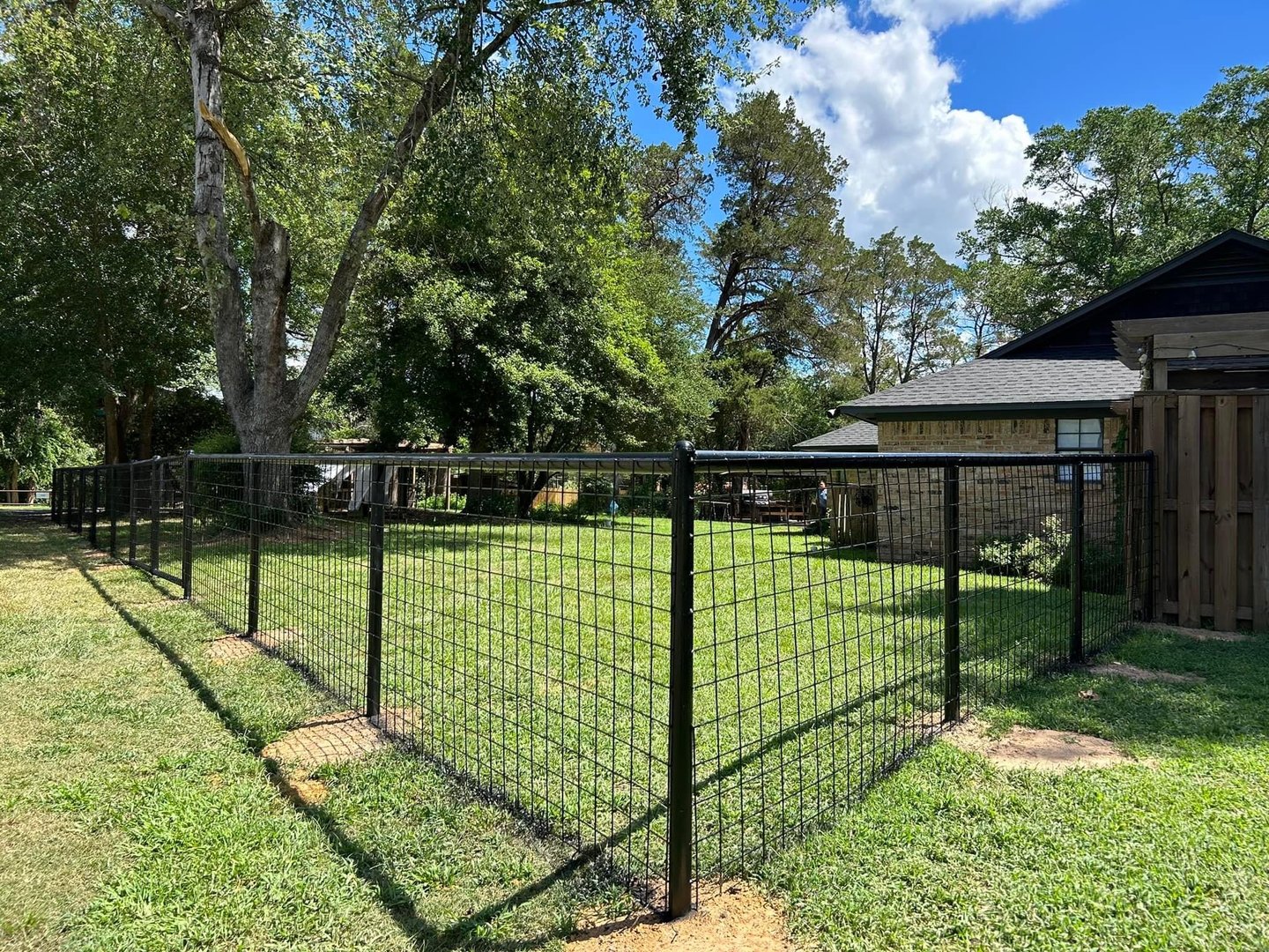 A fenced-in grassy yard with tall trees and a house in the background under a clear blue sky.