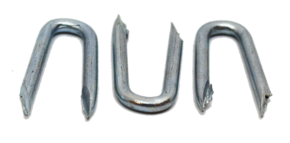 Three silver metal staples with their pointed ends facing upward against a white background.