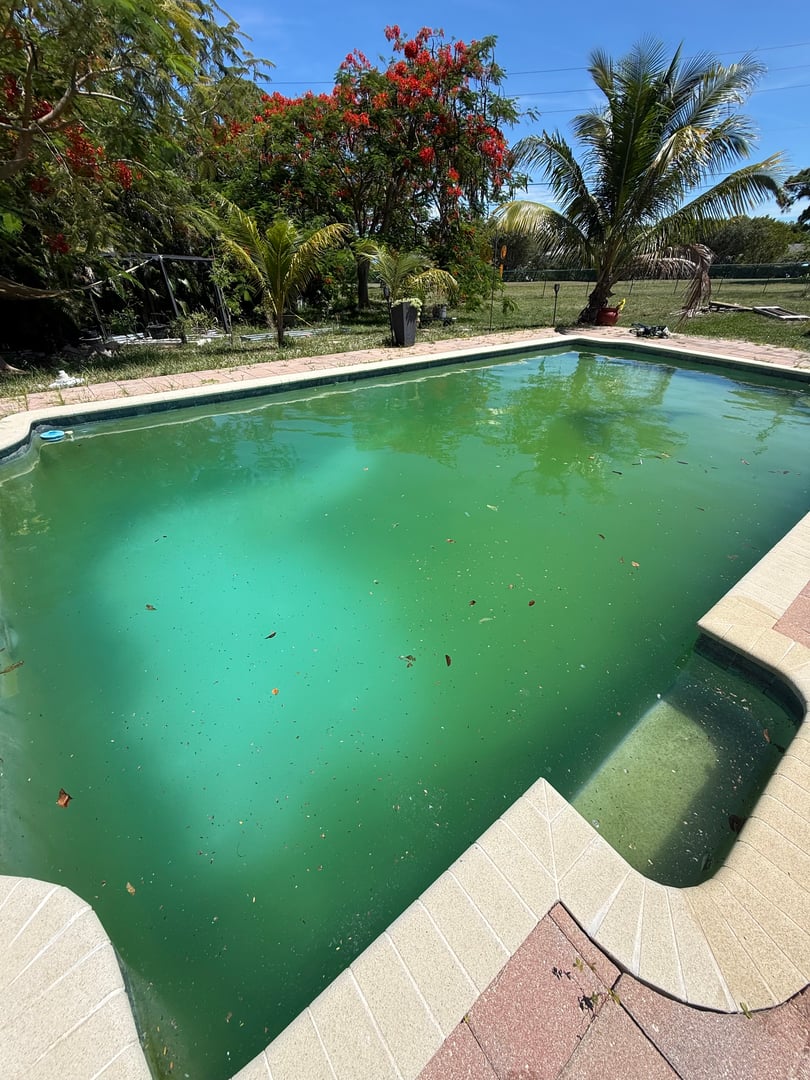 Before image of a neglected pool