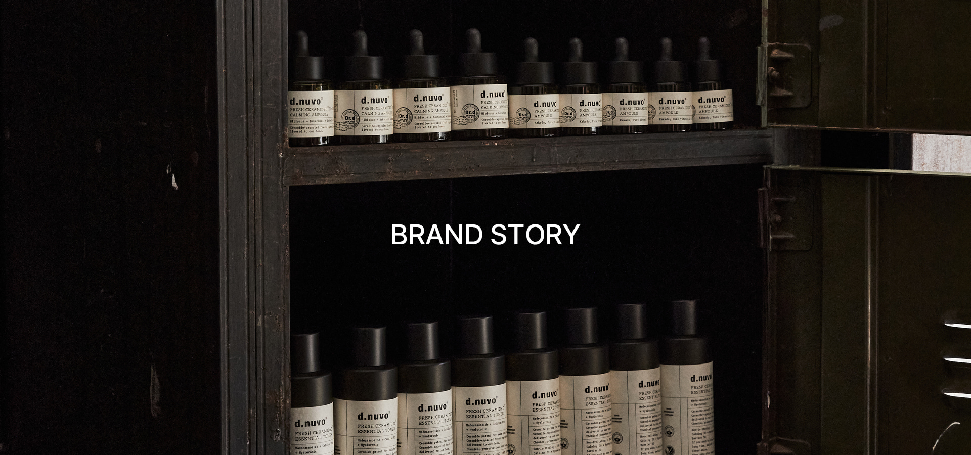 d.nuvo brand story hero banner