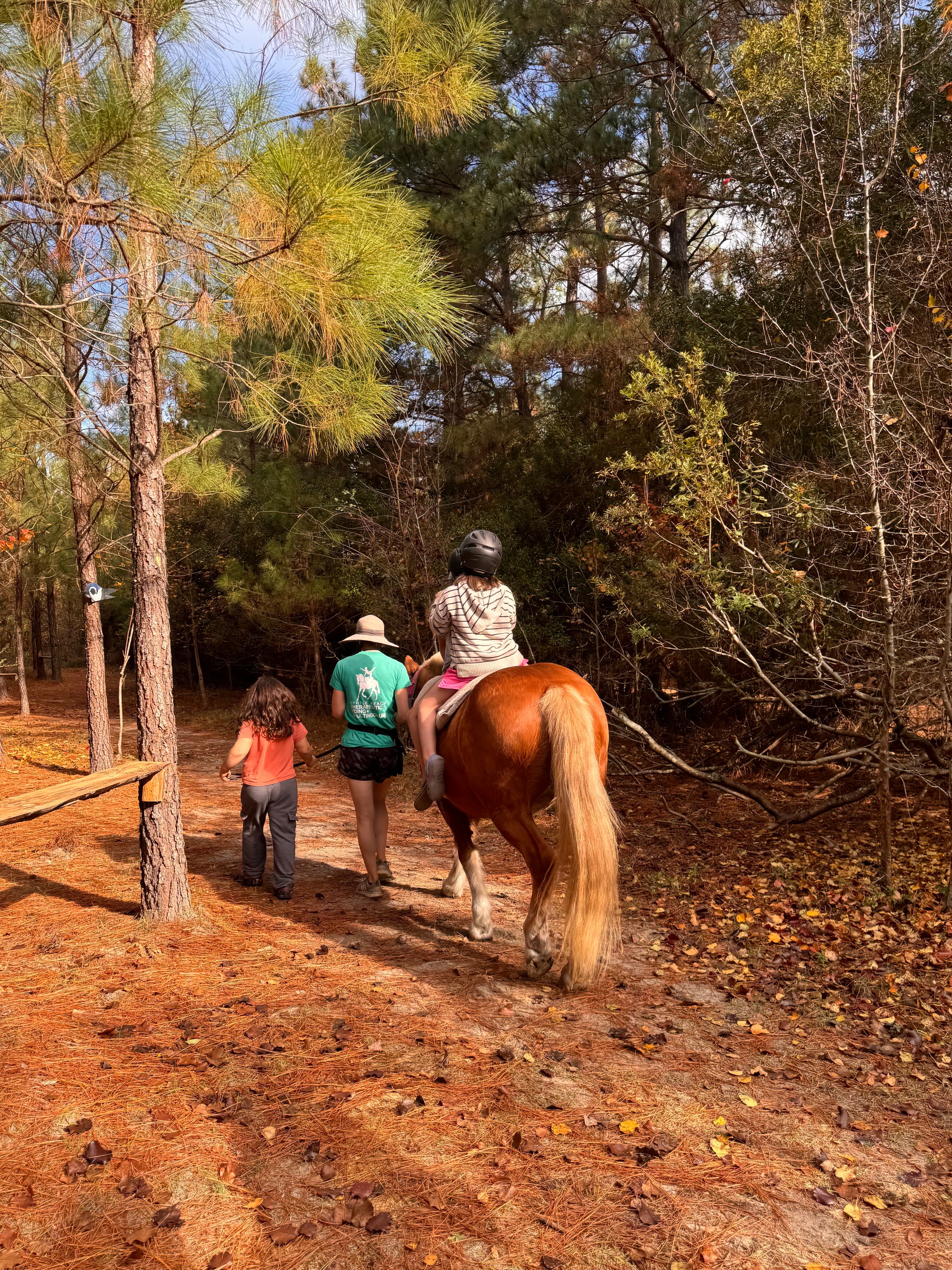 Seasonal learning at Wondering Woods Farm