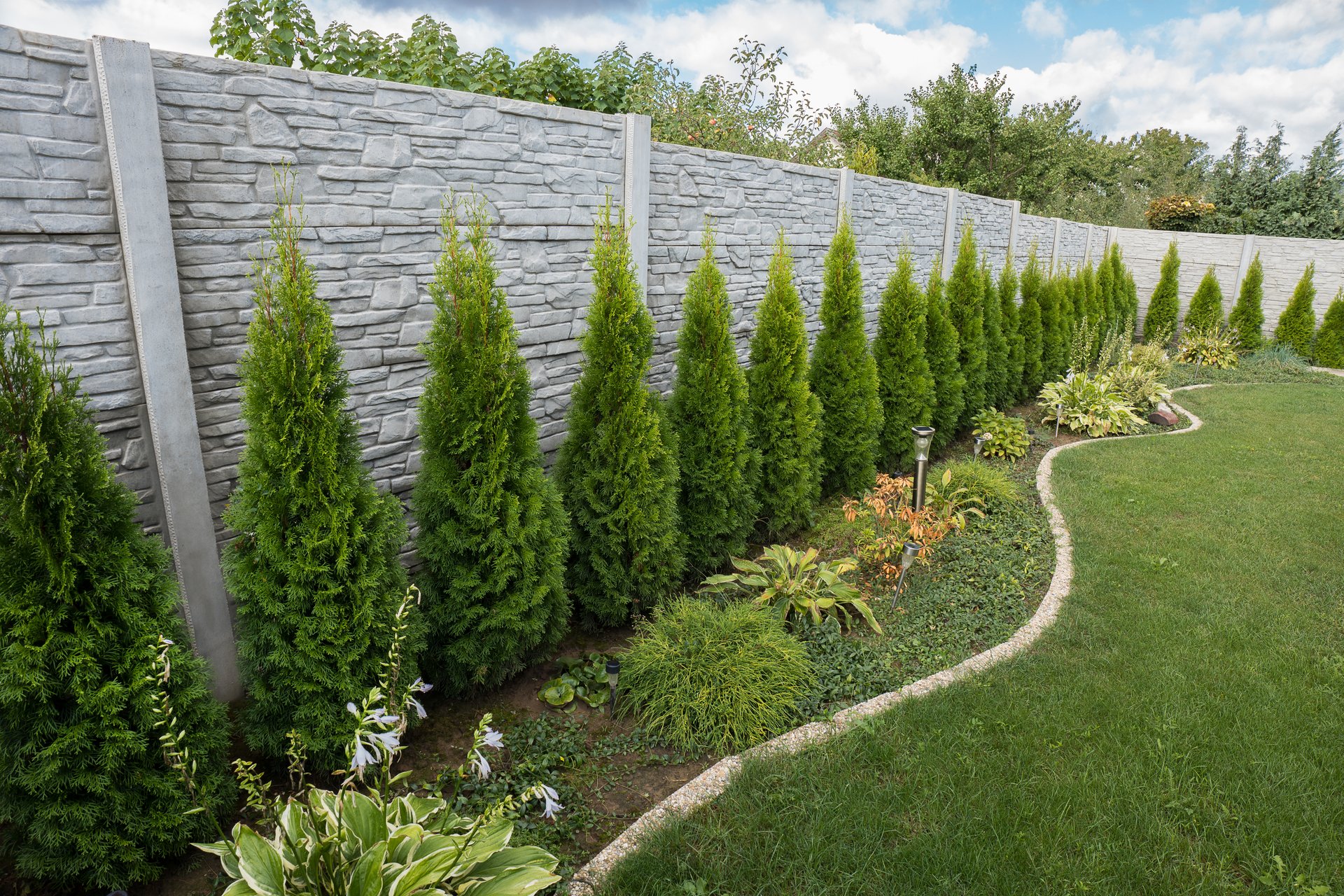 Precast Concrete fence and green thujas in the home garden