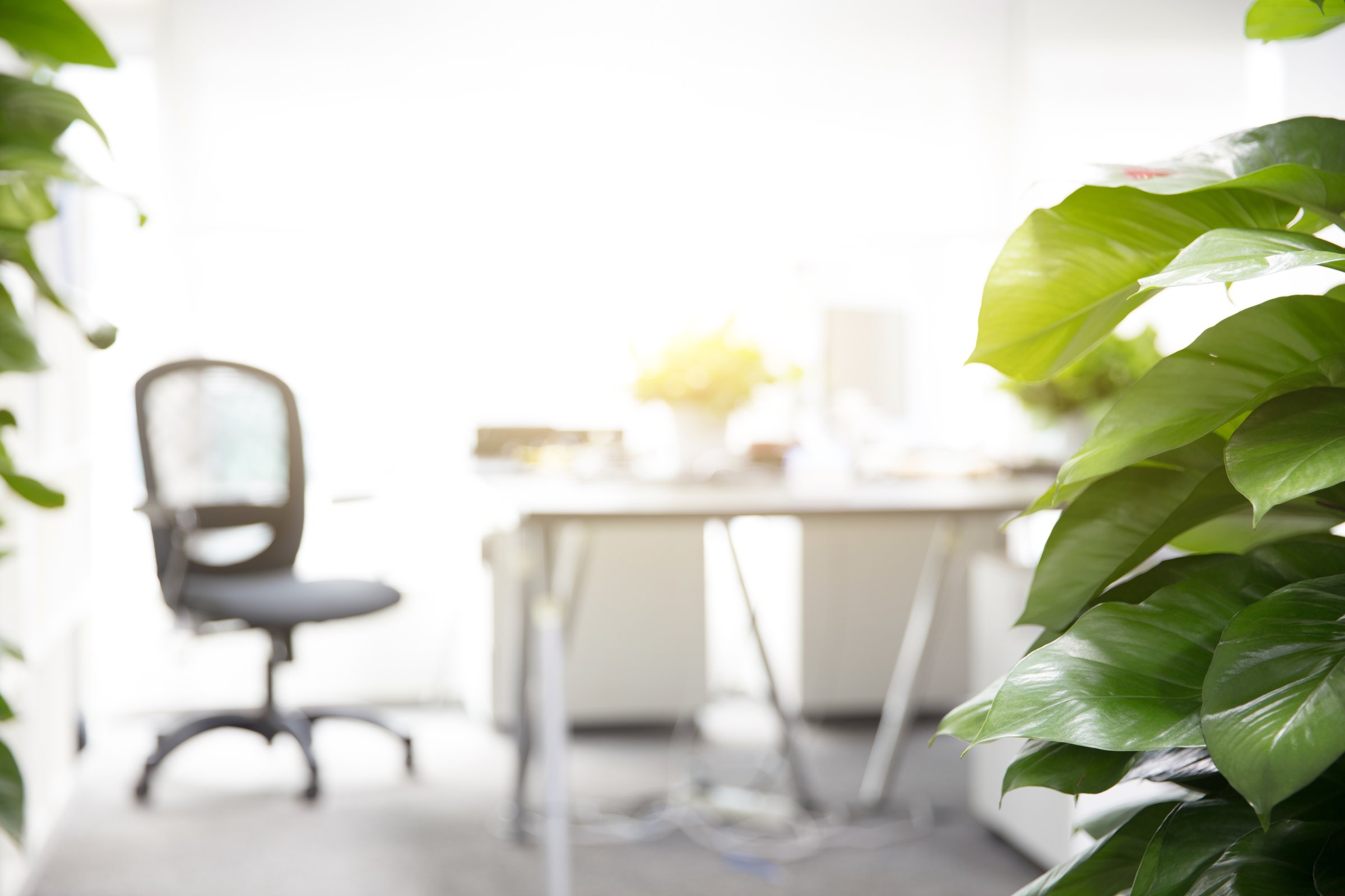 modern office interior