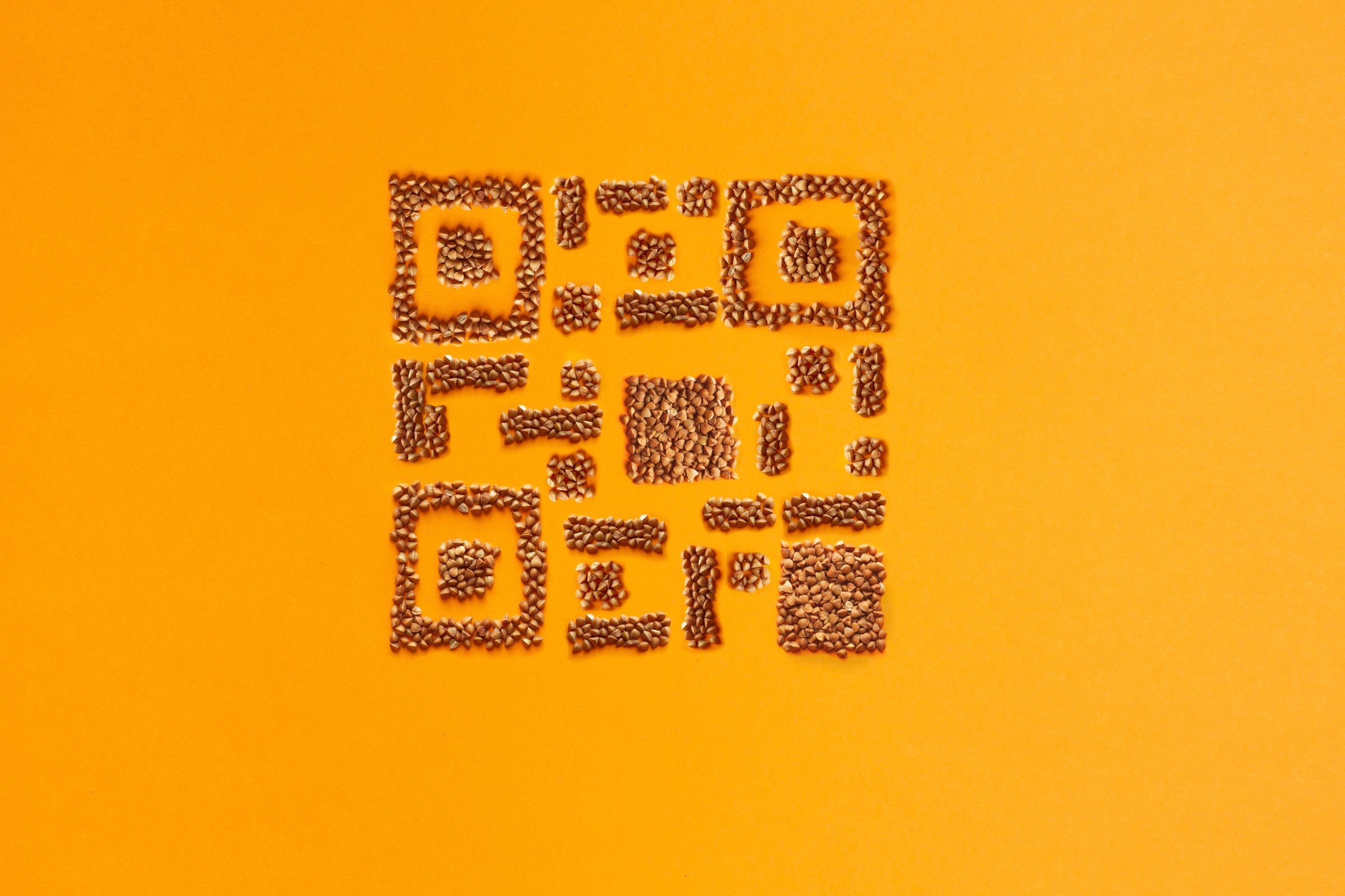 QR code by buckwheat on orange background. Groat creative concept. Health food fitness mock up. Coronavirus quarantine concept. Top view.