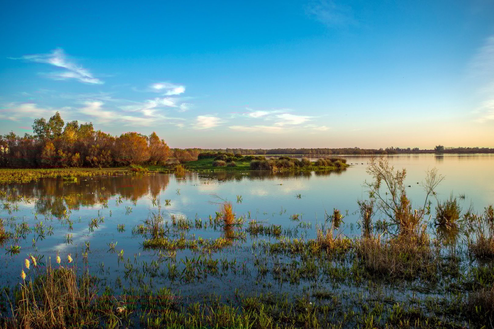 Beautiful lagoon landscape with birds in the Doñana National Park, Huelva, Anadalucia, Spain, at sunset